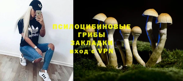 стафф Абаза