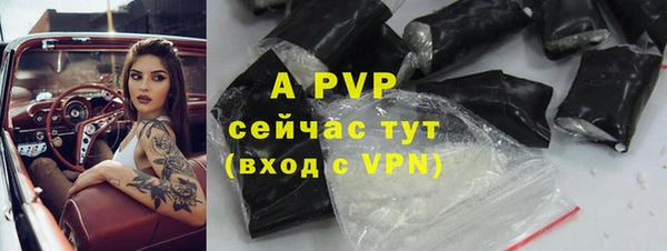 гашик Покров