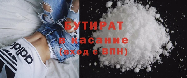 гидра Покачи