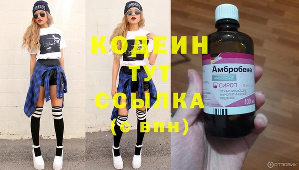 гидра Покачи