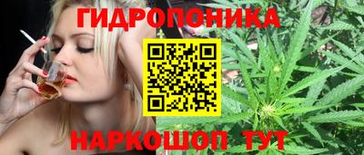 стаф Ирбит