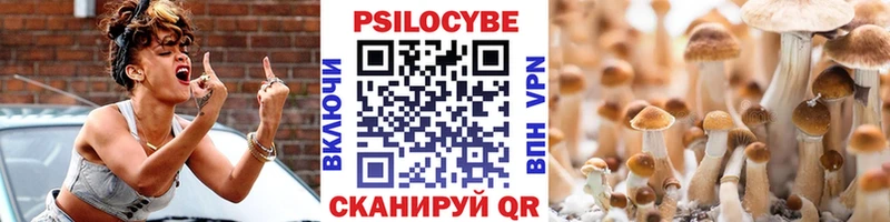 Галлюциногенные грибы мухоморы  где купить наркоту  Кизляр 