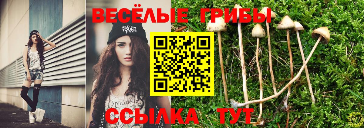 Галлюциногенные грибы MAGIC MUSHROOMS  Галлюциногенные грибы Magic Shrooms  Вход с VPN  Кизляр 